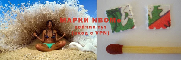 хмурый Мегион