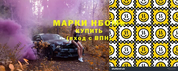 хмурый Мегион