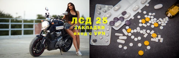 хмурый Мегион