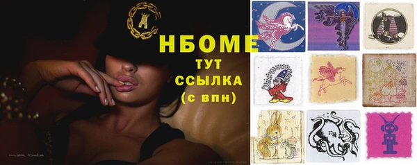 хмурый Мегион