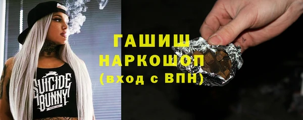 хмурый Мегион