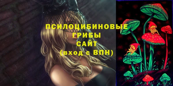мескалин Медвежьегорск