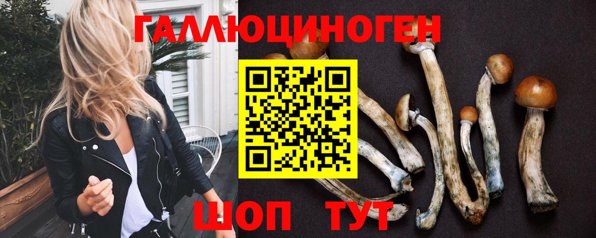 Псилоцибиновые грибы GOLDEN TEACHER Петрозаводск