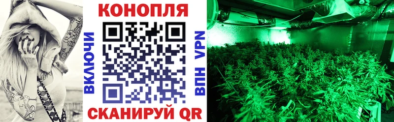 ссылка на мегу tor  Петрозаводск  Бошки Шишки OG Kush  где найти наркотики 